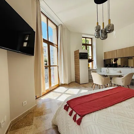 Apartamento Le Sainte Rose Standing, Center On Foot *